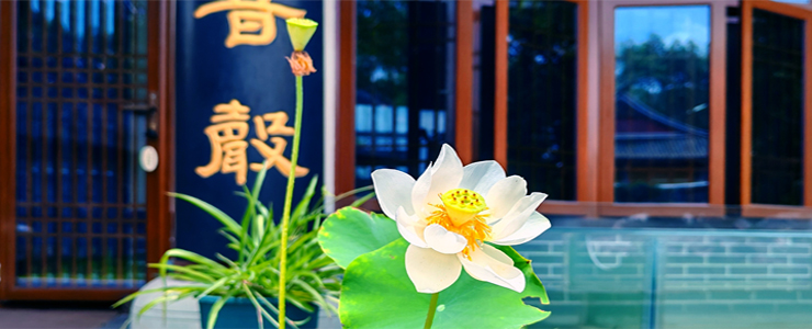 blog